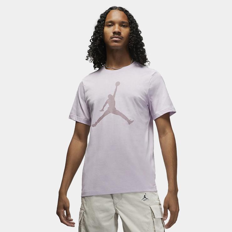 Nike Jordan Erkek Mor T-shirt